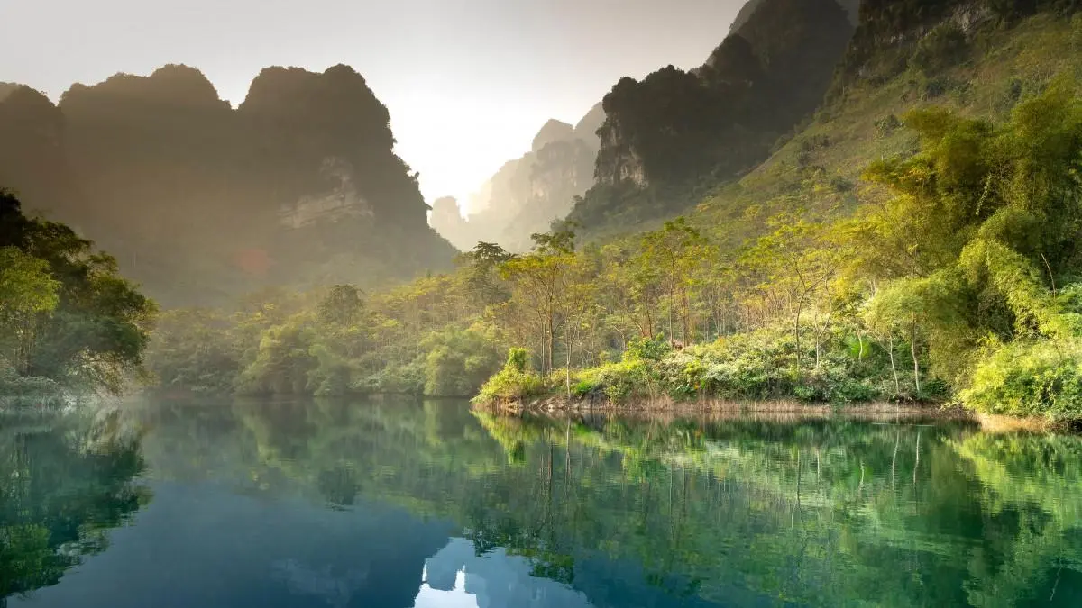 高效高性能高标准